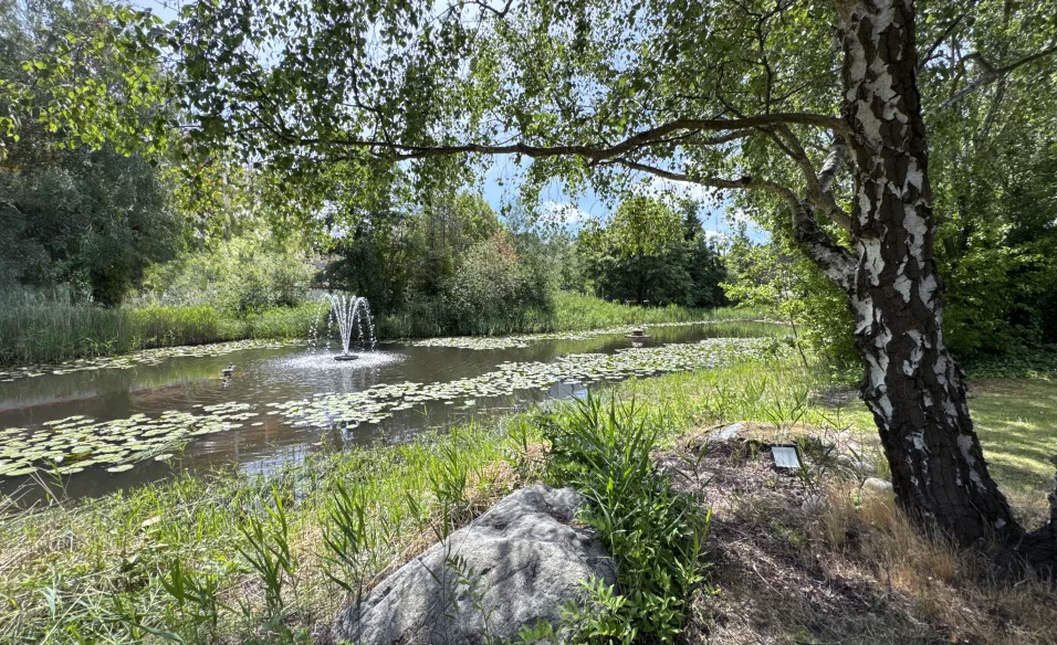 Landscaped grounds at No.5
